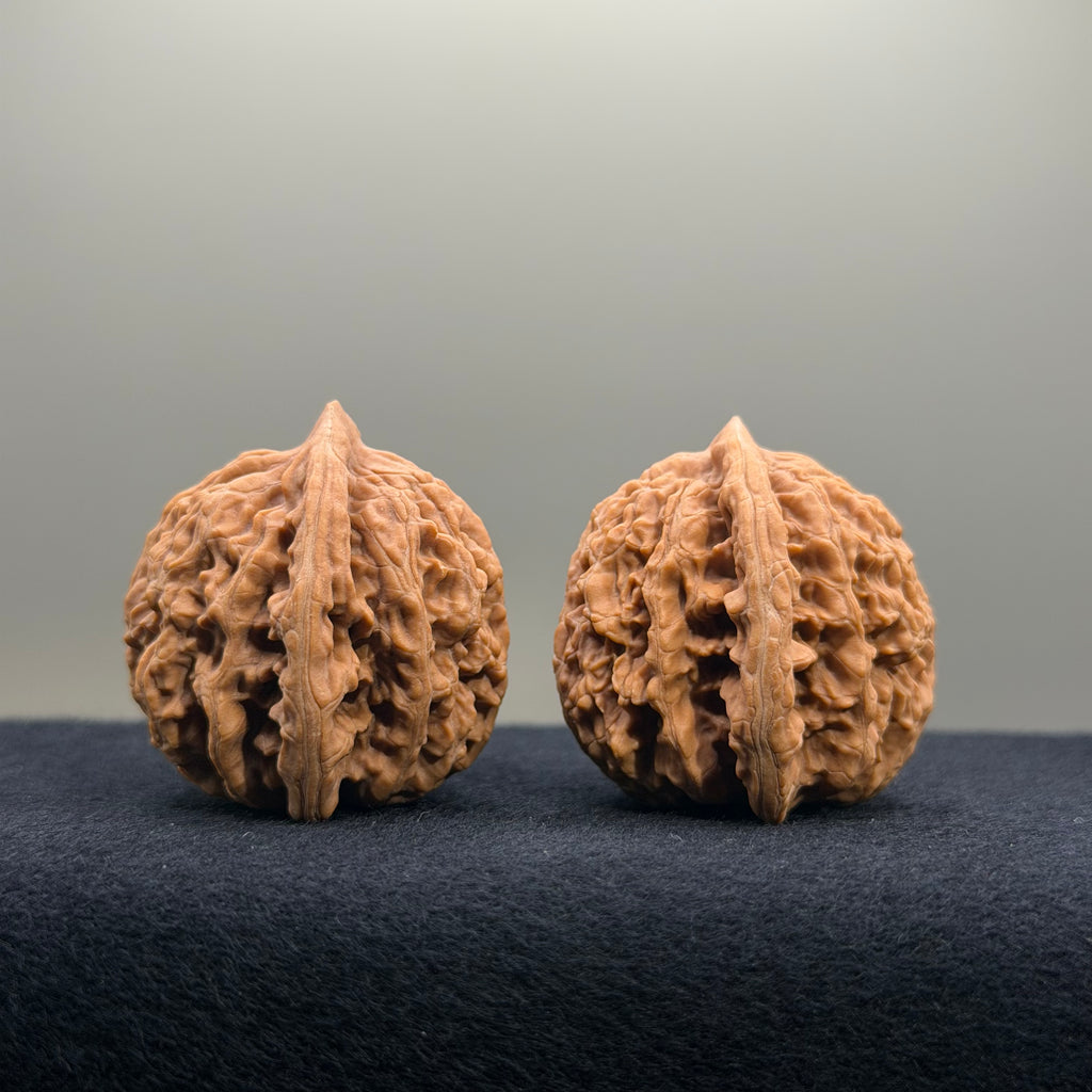 Coiled Dragon Tiger Head Wenwan Walnut · 35mm · Natural · Entry Ritual