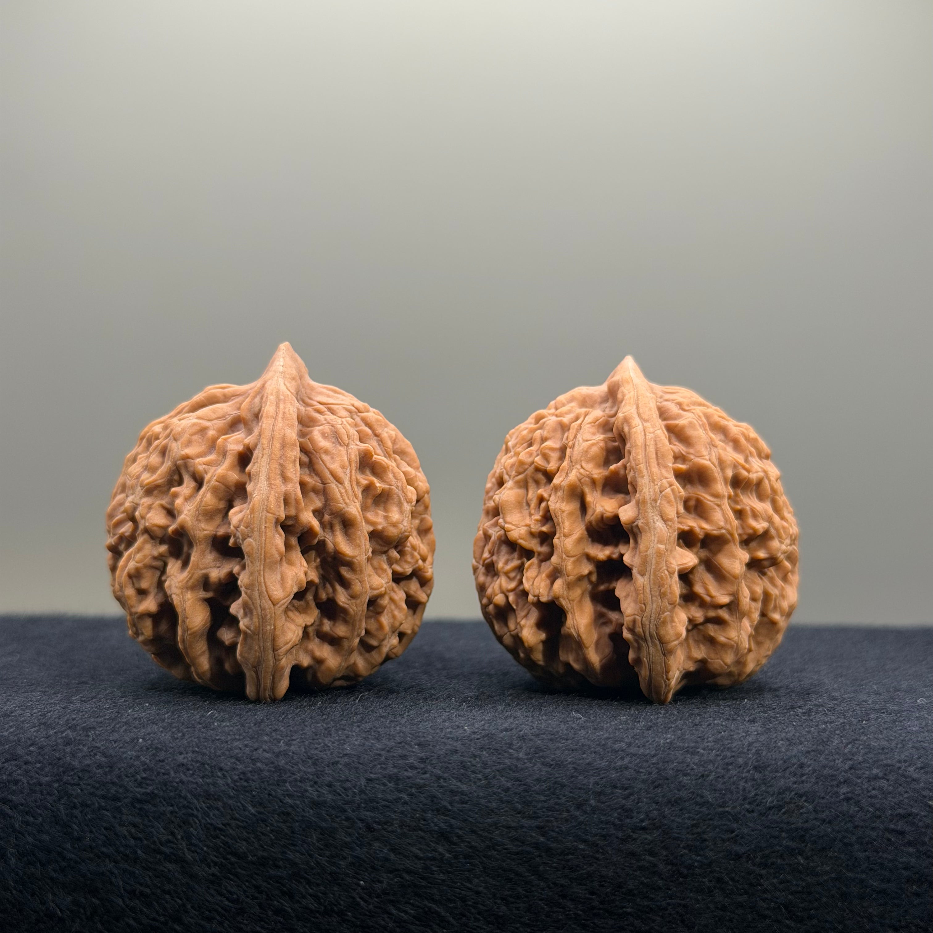 Coiled Dragon Tiger Head Wenwan Walnut · 35mm · Natural · Entry Ritual
