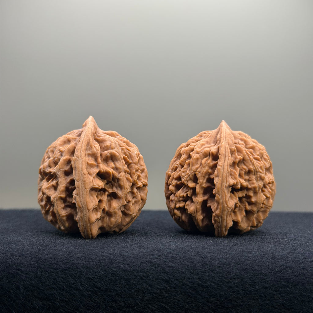 Coiled Dragon Tiger Head Wenwan Walnut · 35mm · Natural · Entry Ritual