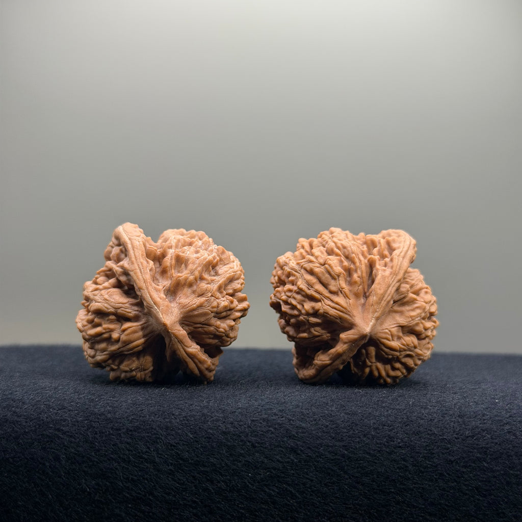 Coiled Dragon Tiger Head Wenwan Walnut · 35mm · Natural · Entry Ritual