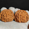 Nanjiang Stone Wenwan Walnut · 45mm · Natural · Premium Ritual