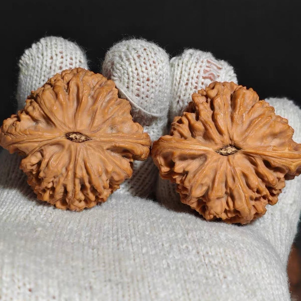 Nanjiang Stone Wenwan Walnut · 45mm · Natural · Premium Ritual