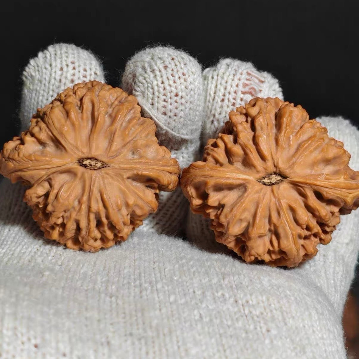 Nanjiang Stone Wenwan Walnut · 45mm · Natural · Premium Ritual