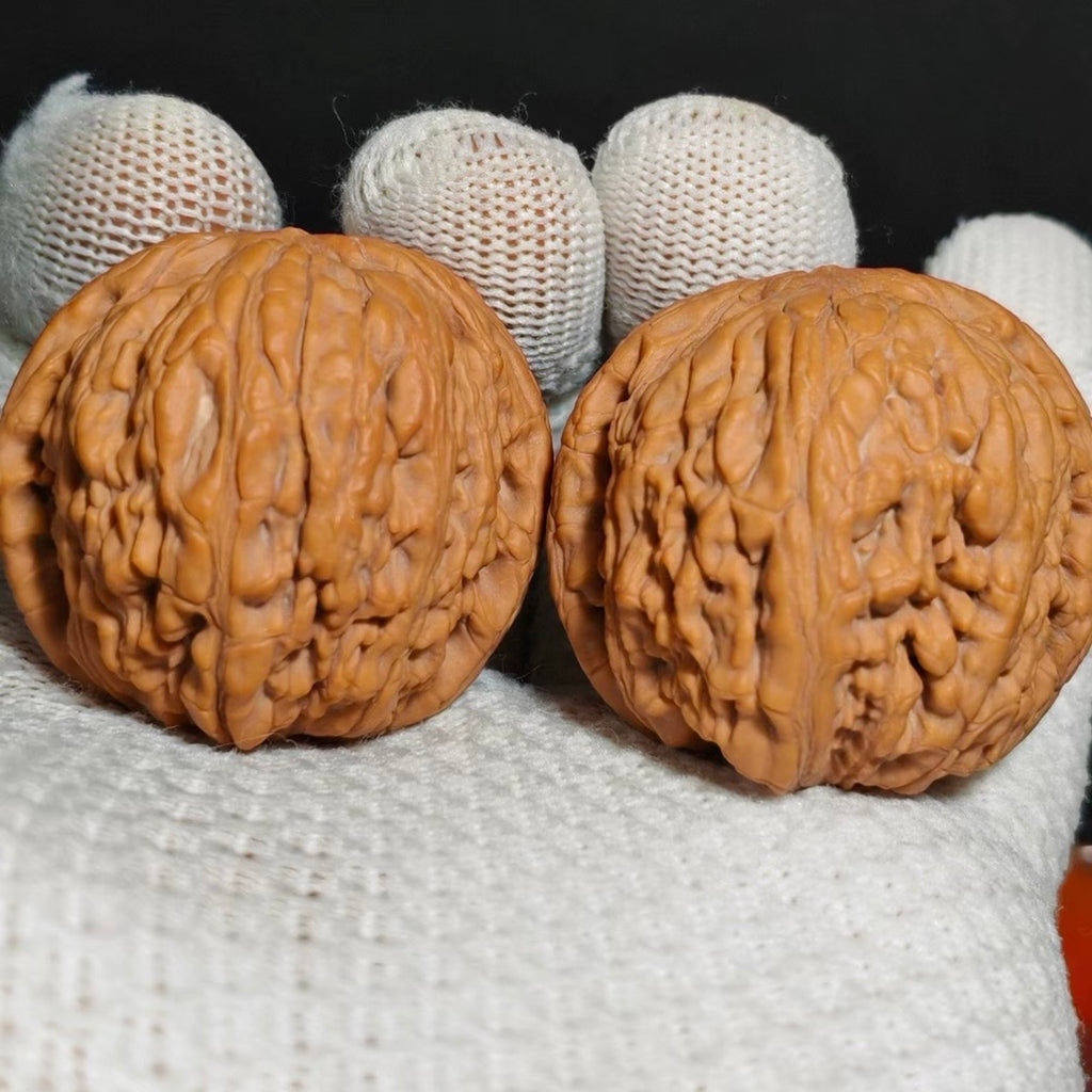 Imperial Vessel Wenwan Walnut · 39mm · Natural · Premium Ritual