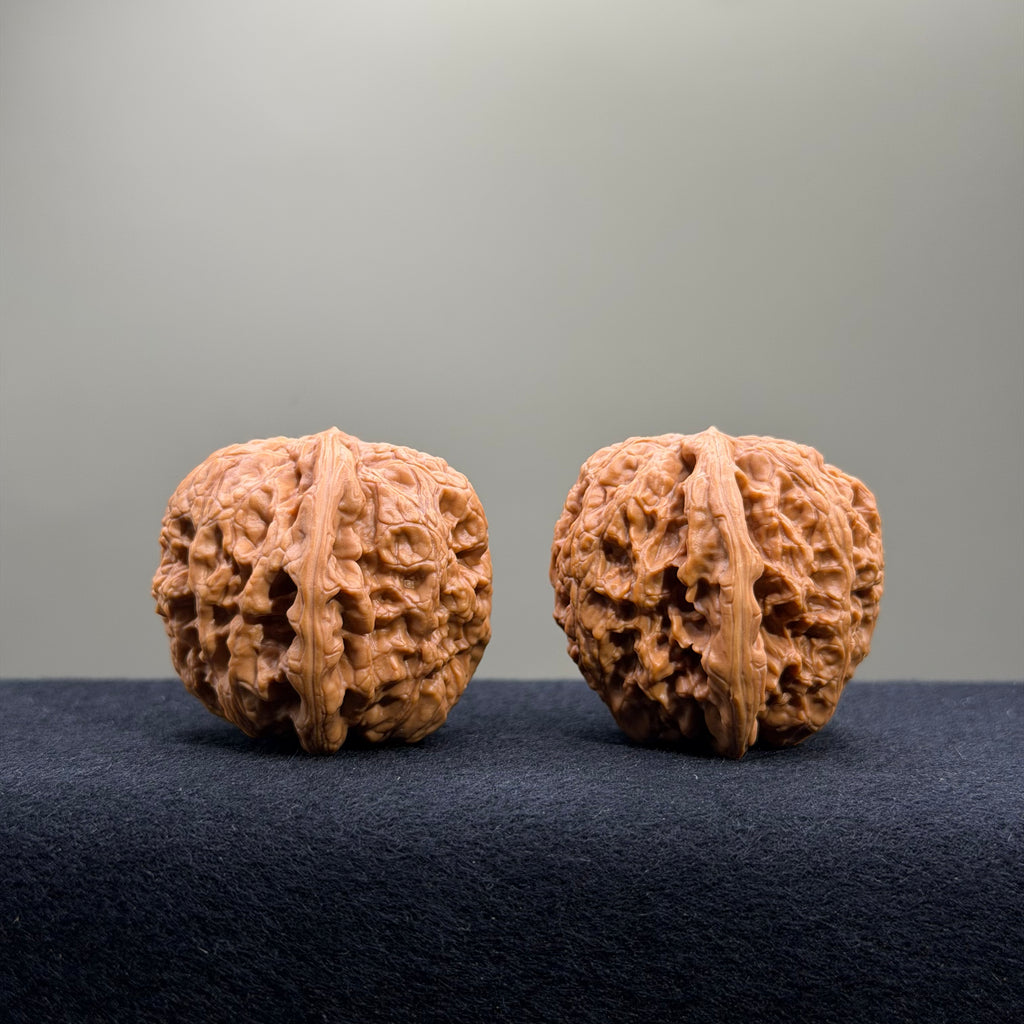 Bold Ridge Wenwan Walnut · 42mm · Select Ritual