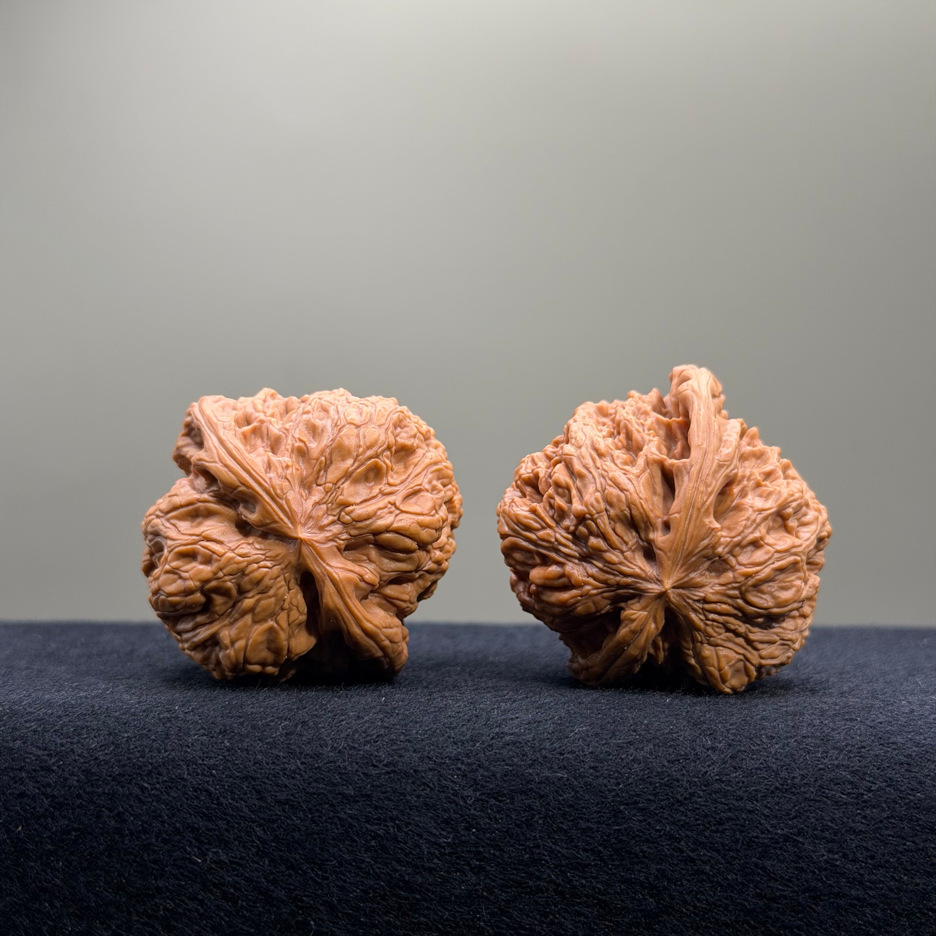 Bold Ridge Wenwan Walnut · 42mm · Select Ritual