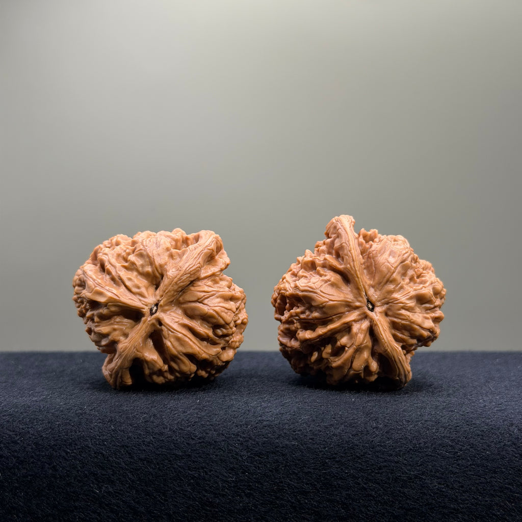 Bold Ridge Wenwan Walnut · 42mm · Select Ritual