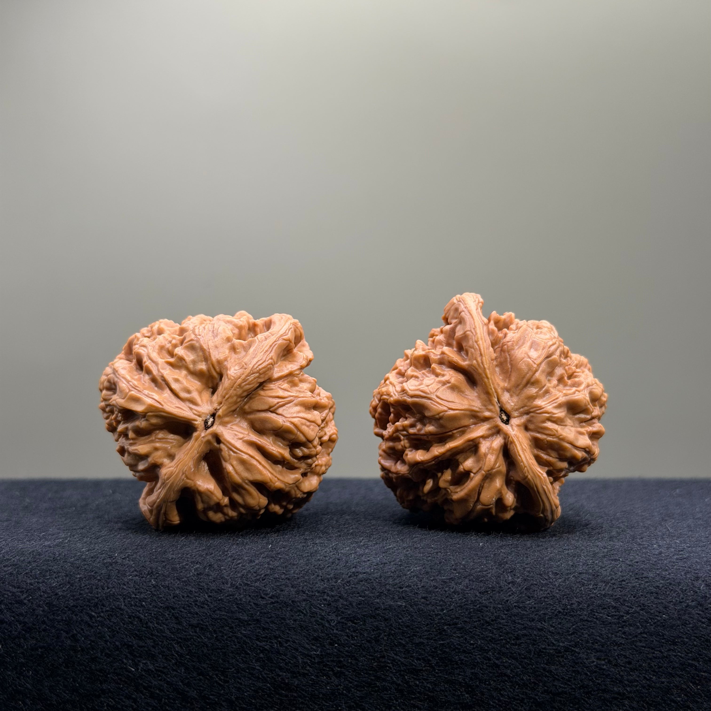 Bold Ridge Wenwan Walnut · 42mm · Select Ritual