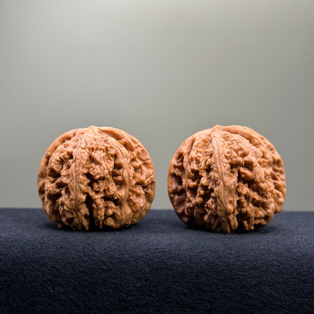 Bold Ridge Wenwan Walnut · 44mm · Select Ritual