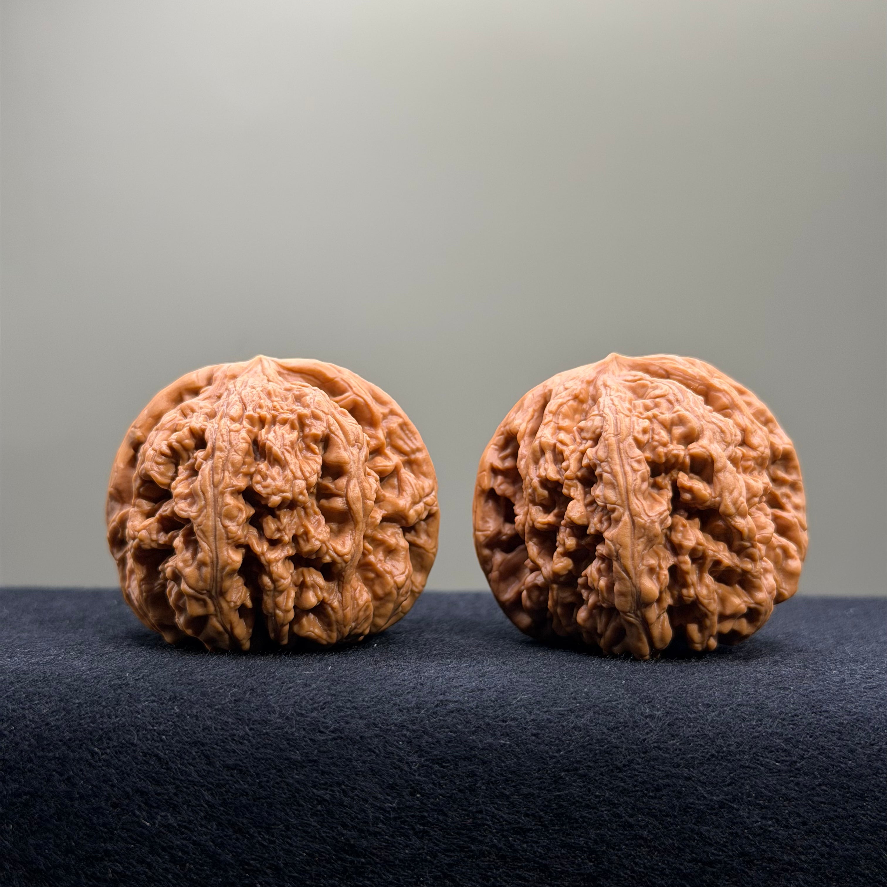Bold Ridge Wenwan Walnut · 44mm · Select Ritual