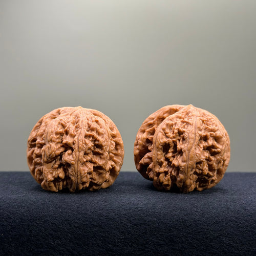 Bold Ridge Wenwan Walnut · 44mm · Select Ritual