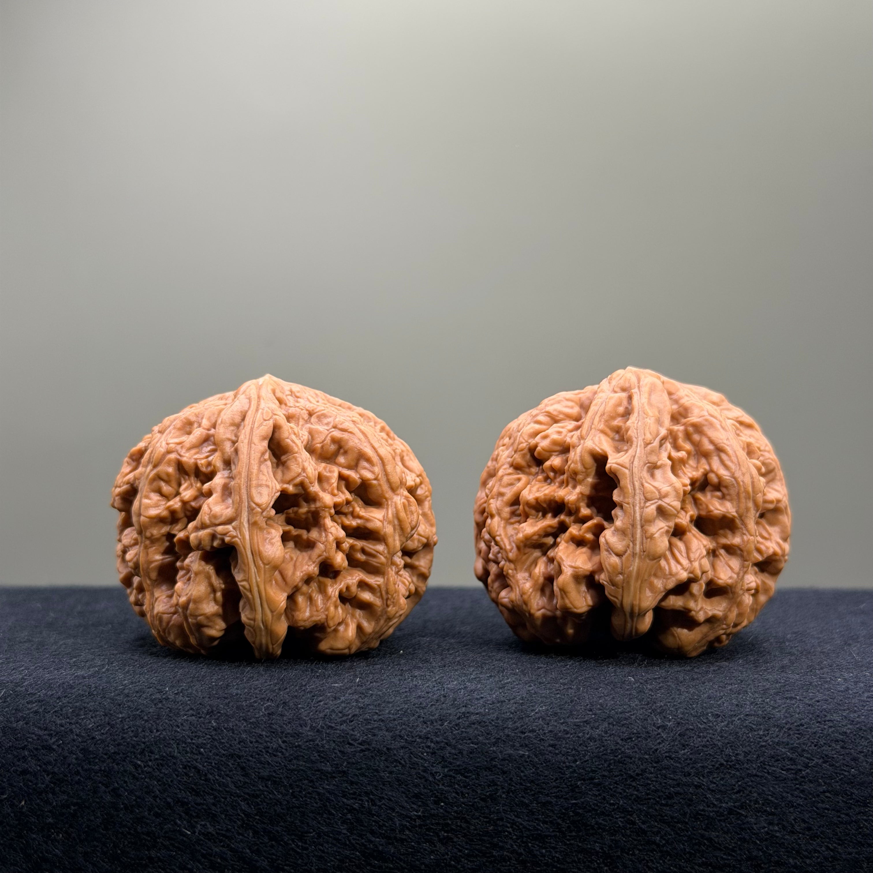 Bold Ridge Wenwan Walnut · 44mm · Select Ritual