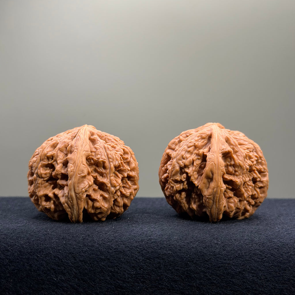 Bold Ridge Wenwan Walnut · 44mm · Select Ritual