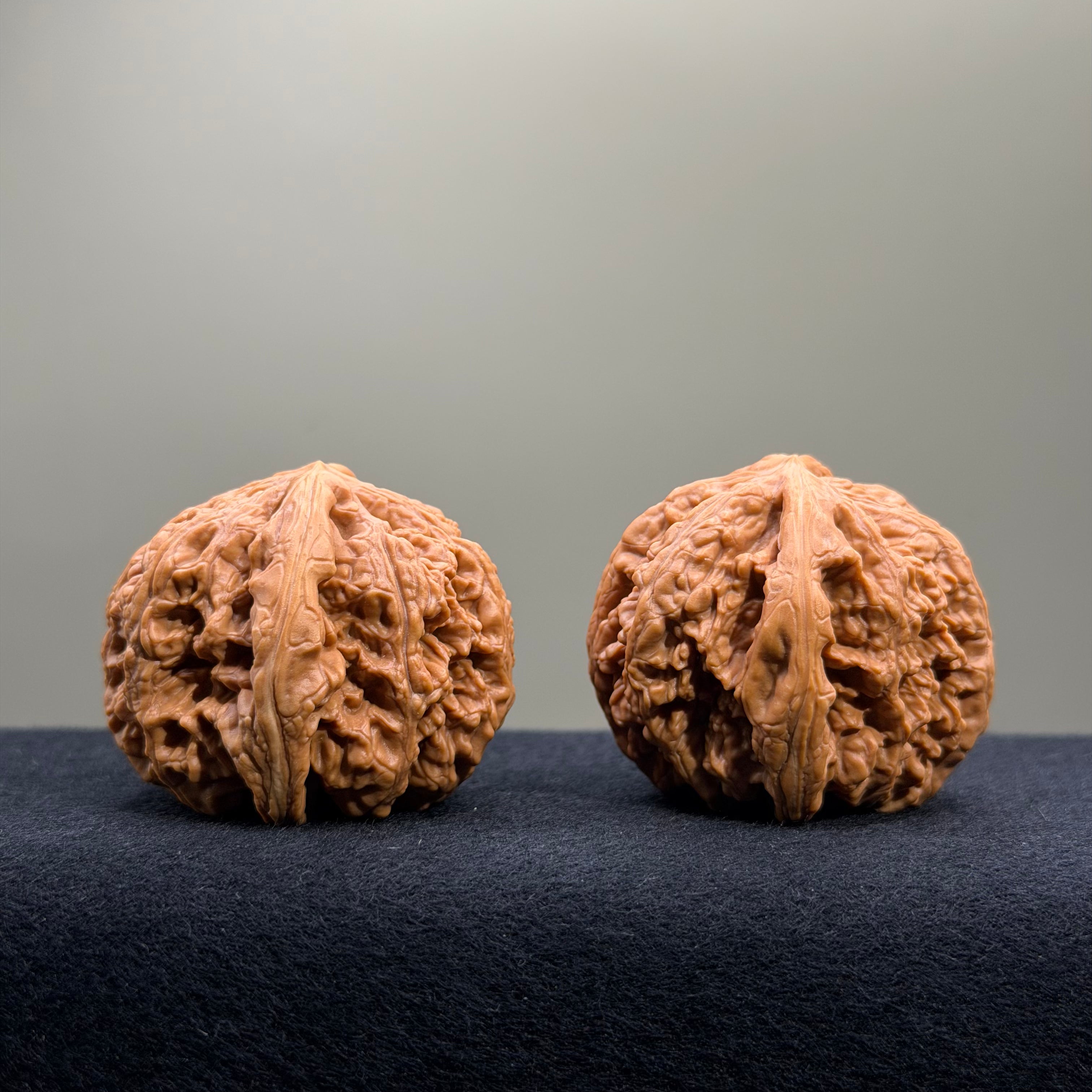 Bold Ridge Wenwan Walnut · 44mm · Select Ritual