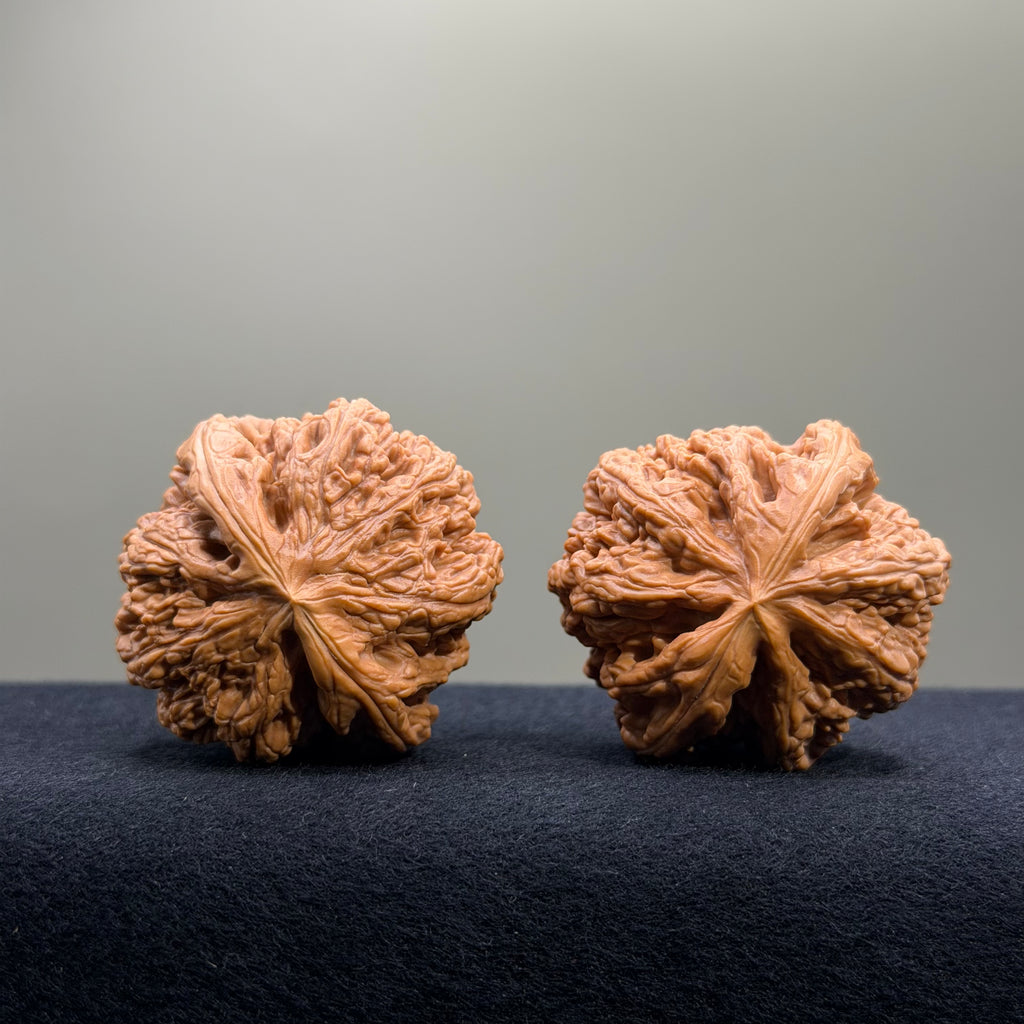 Bold Ridge Wenwan Walnut · 44mm · Select Ritual