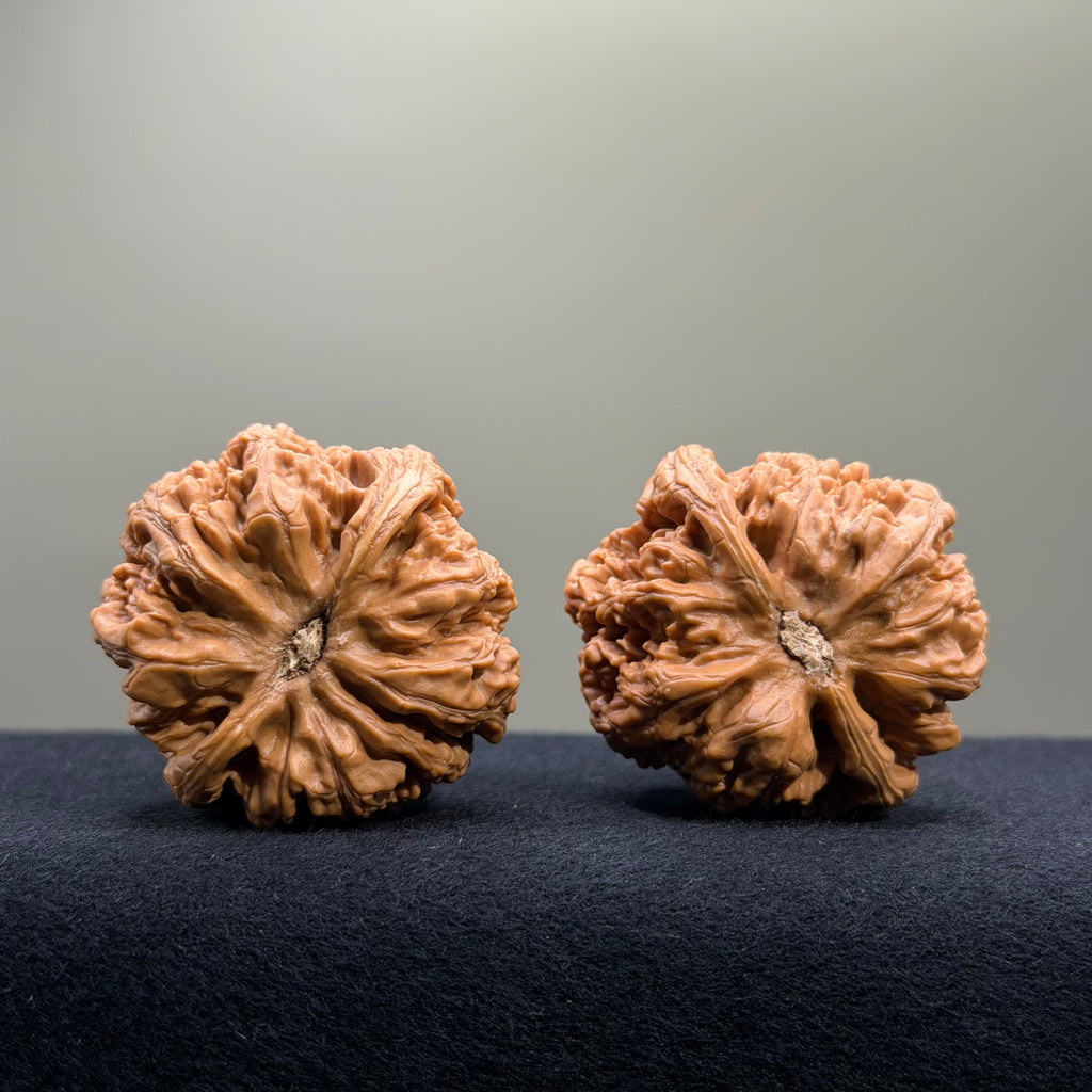 Bold Ridge Wenwan Walnut · 44mm · Select Ritual
