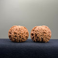 Millstone Wenwan Walnut · 40mm · Natural · Select Ritual