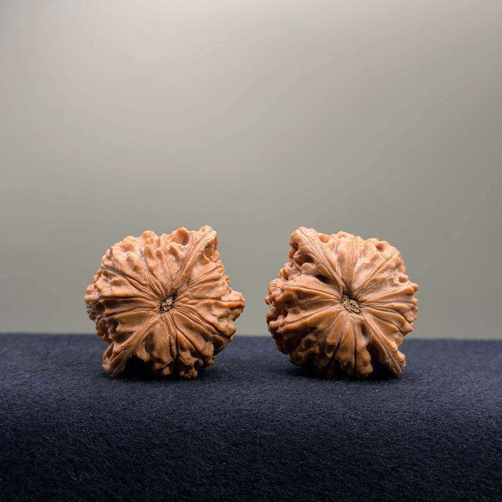 Millstone Wenwan Walnut · 40mm · Natural · Select Ritual