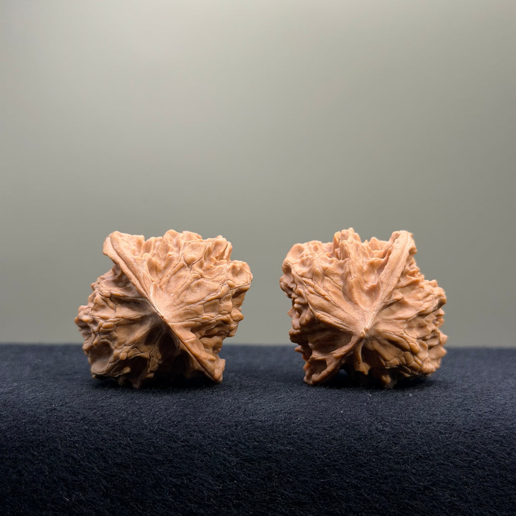 First Love Wenwan Walnut · 37mm · Natural · Select Ritual