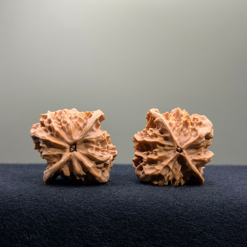 First Love Wenwan Walnut · 37mm · Natural · Select Ritual