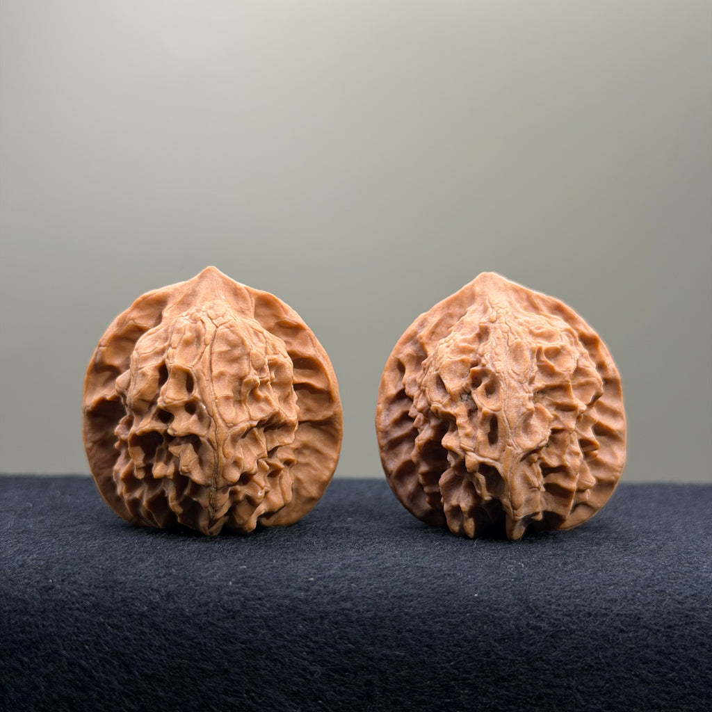 First Love Wenwan Walnut · 37mm · Natural · Select Ritual