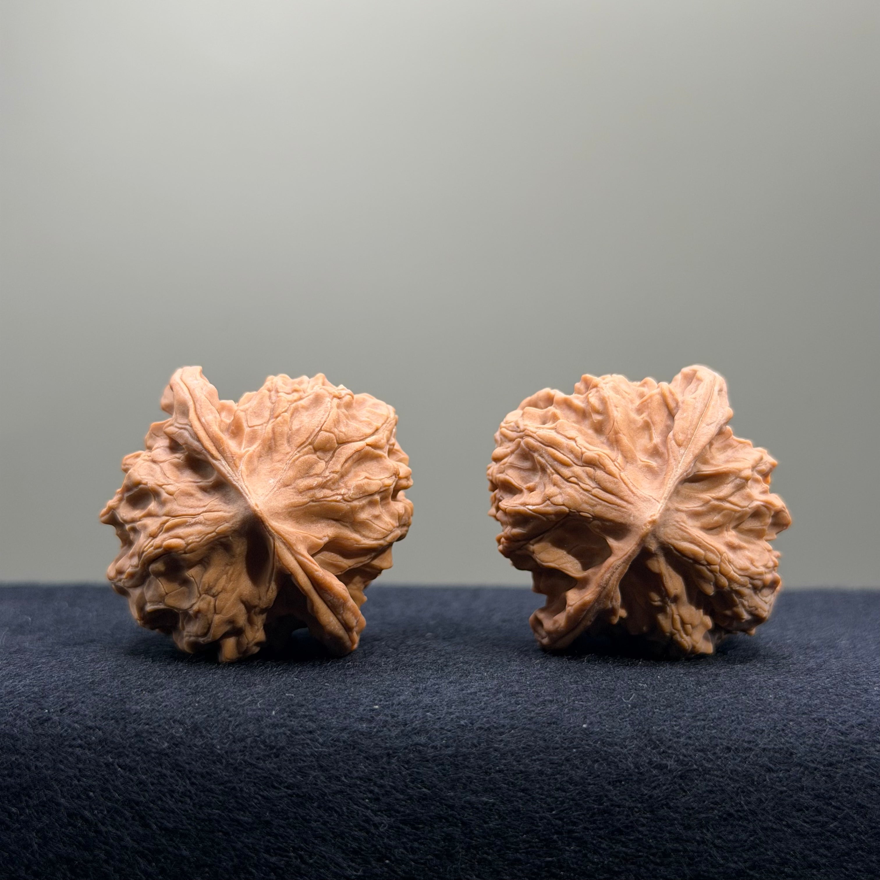 First Love Wenwan Walnut · 37mm · Natural · Select Ritual