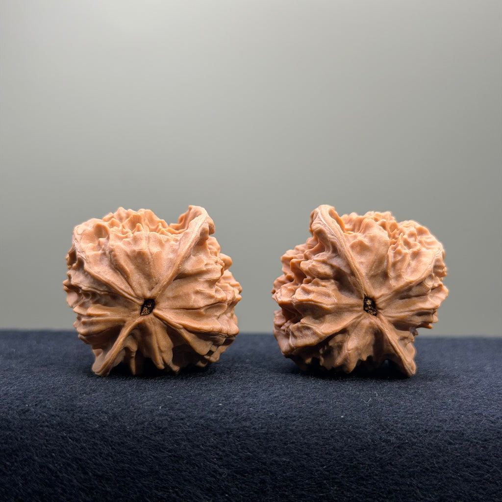 First Love Wenwan Walnut · 37mm · Natural · Select Ritual