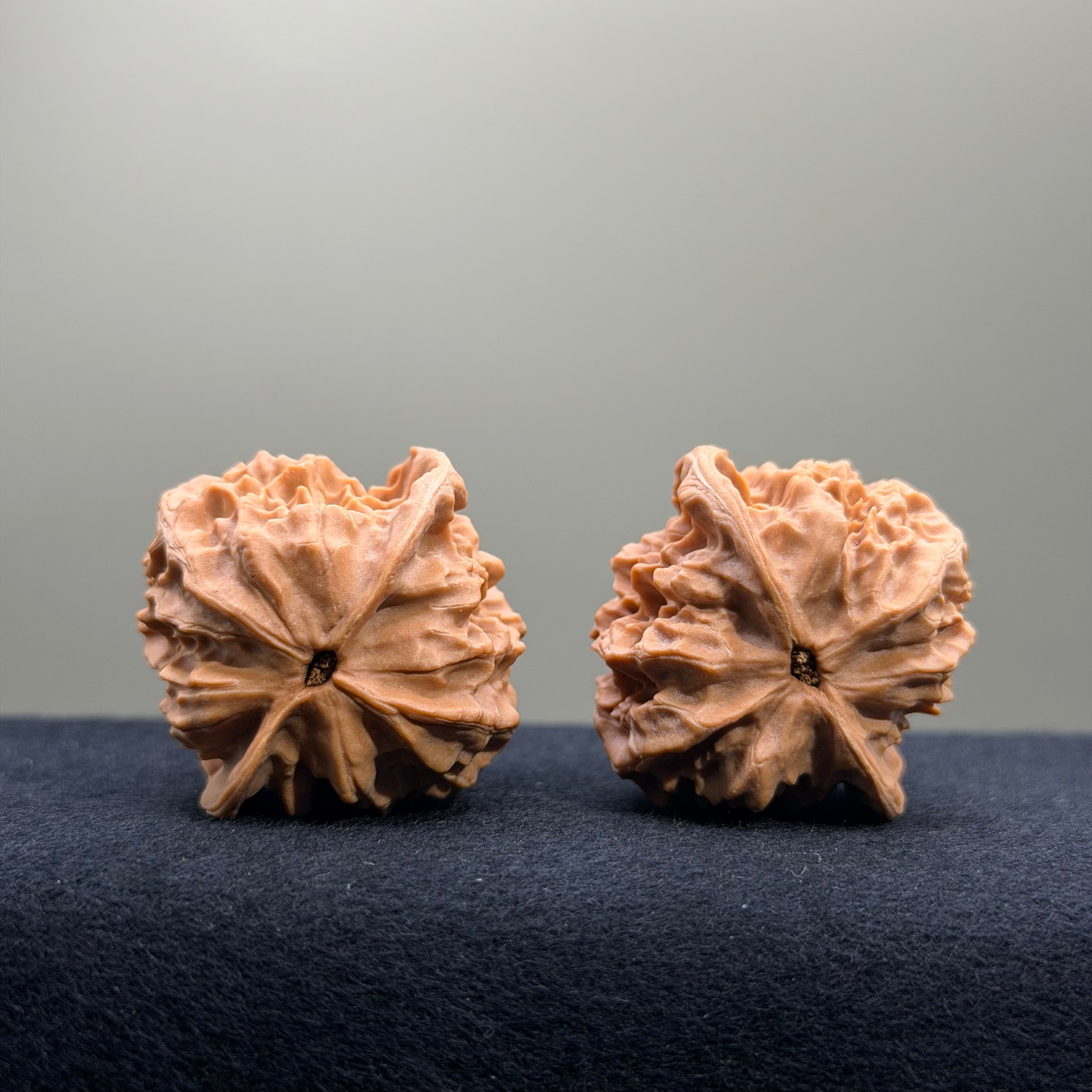 First Love Wenwan Walnut · 37mm · Natural · Select Ritual