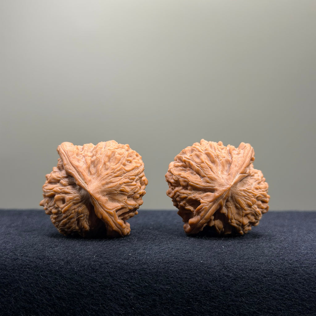 Longevity Peach Wenwan Walnut · 36mm · Natural · Select Ritual