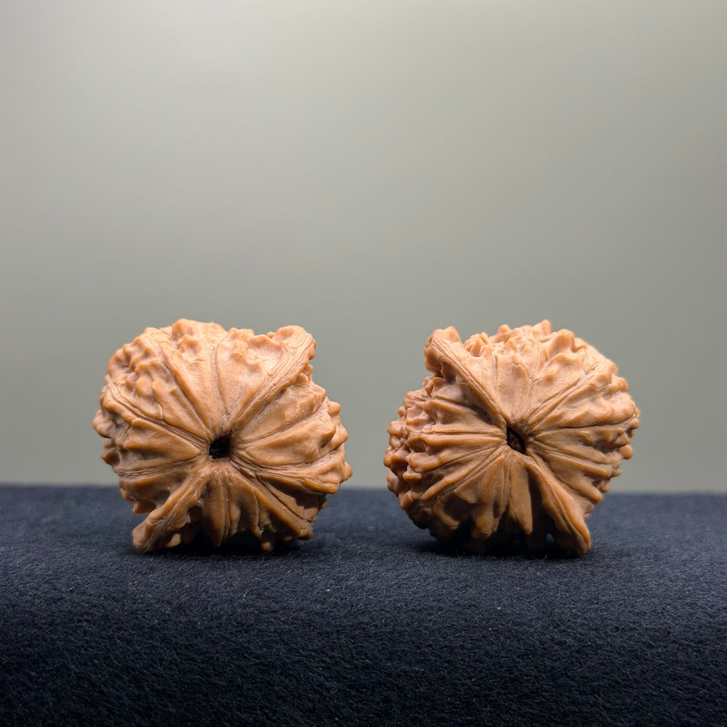 Longevity Peach Wenwan Walnut · 36mm · Natural · Select Ritual