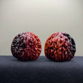 Ghost Rider Four Towers Wenwan Walnut · 43mm · Premium Ritual