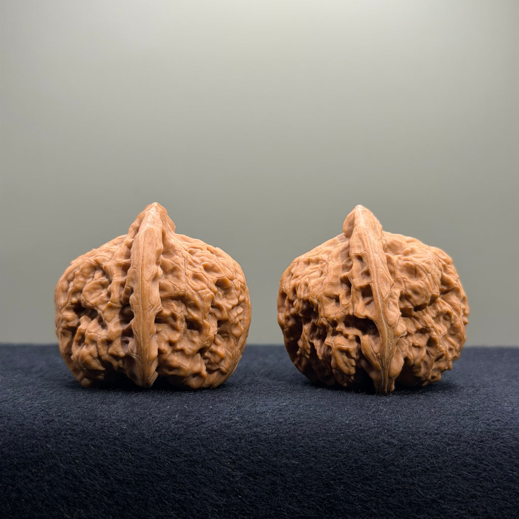 Rolling Ridge Wenwan Walnut · 37mm · Natural · Select Ritual