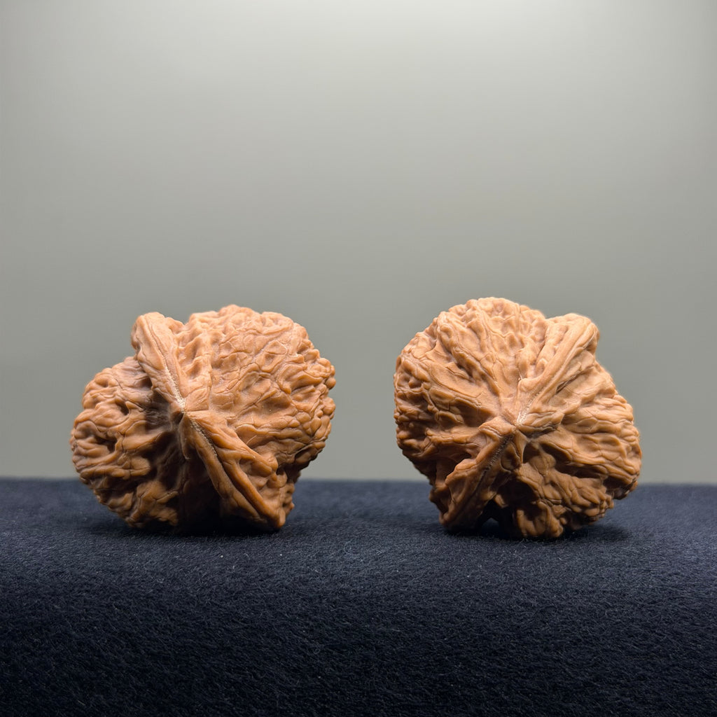Rolling Ridge Wenwan Walnut · 37mm · Natural · Select Ritual