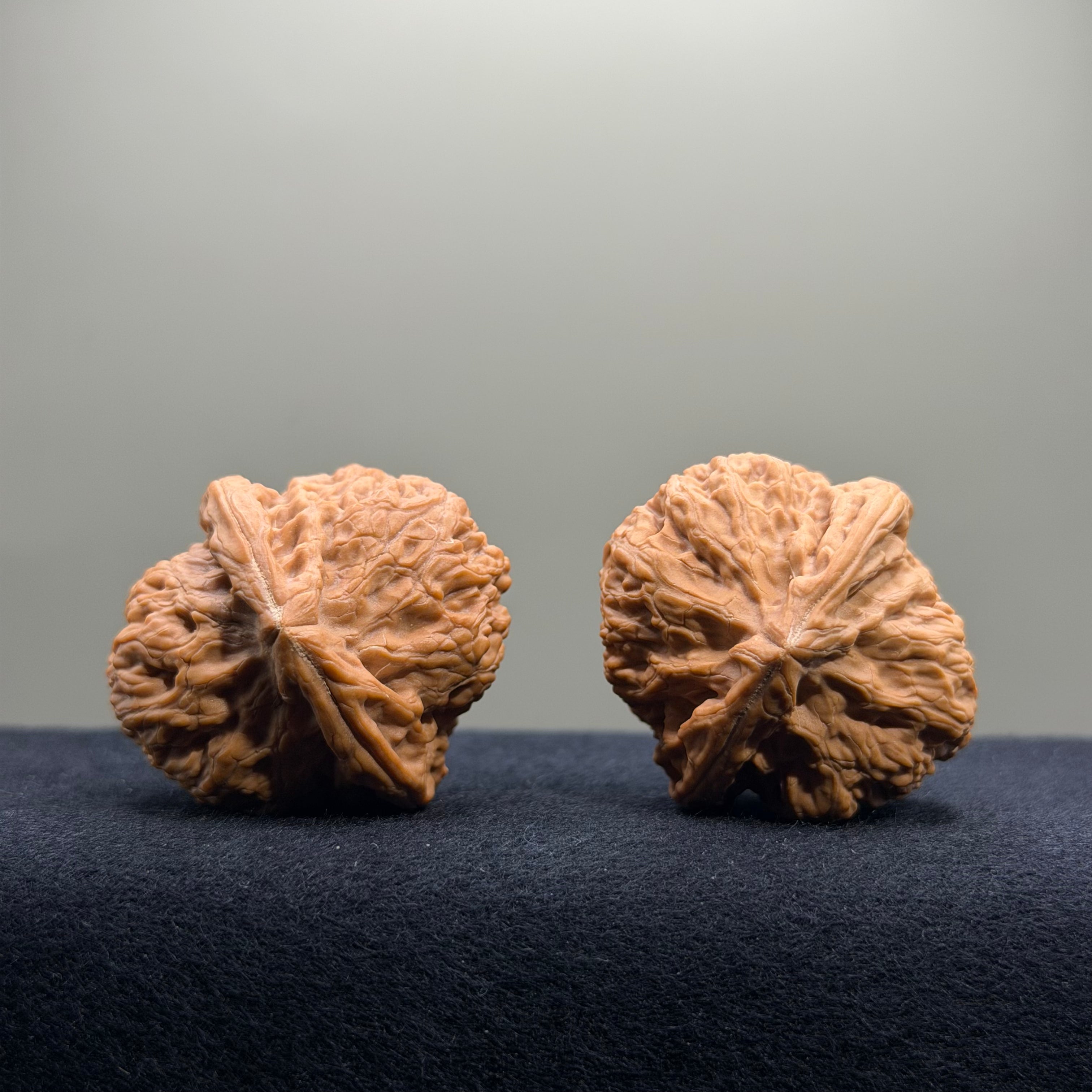 Rolling Ridge Wenwan Walnut · 37mm · Natural · Select Ritual