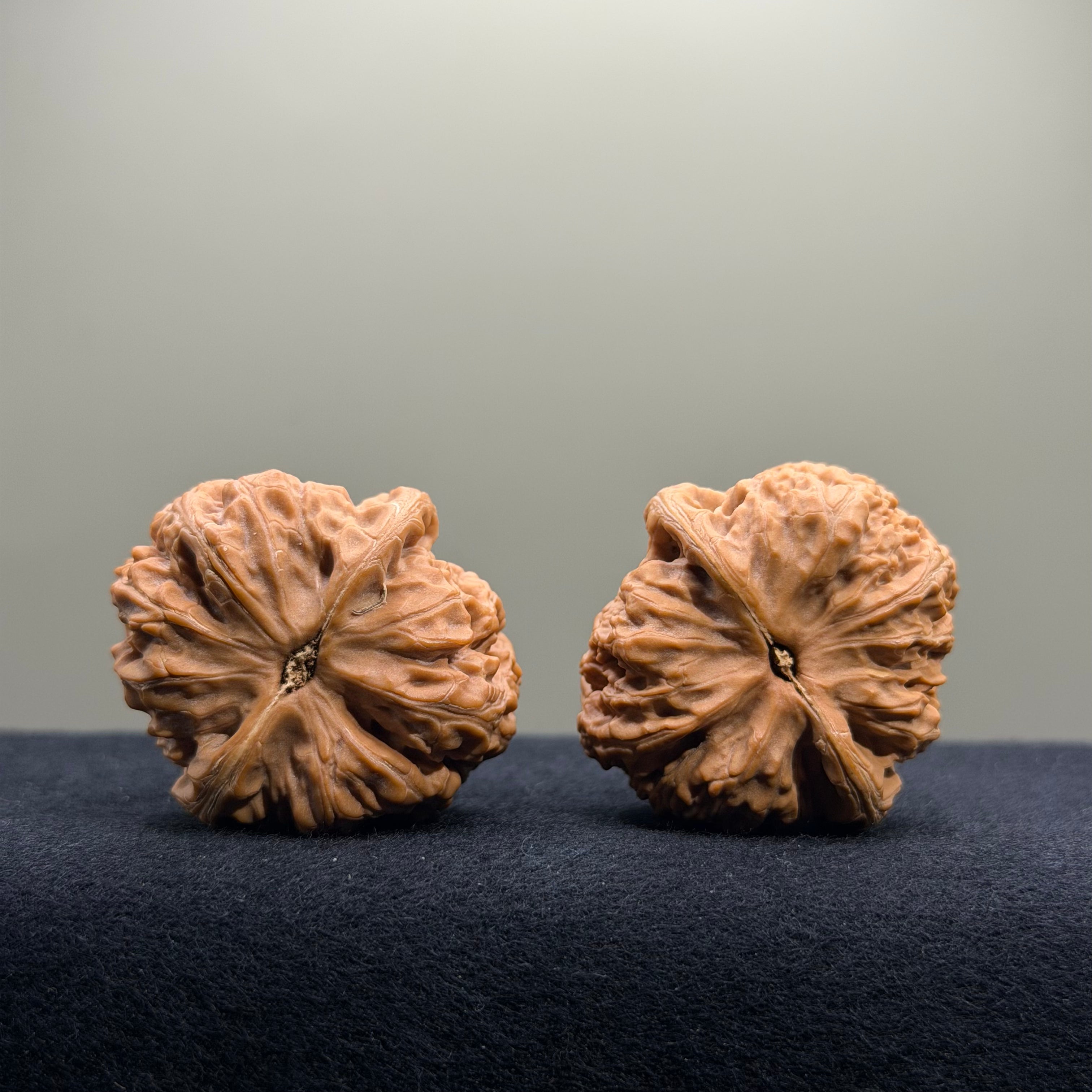 Rolling Ridge Wenwan Walnut · 37mm · Natural · Select Ritual