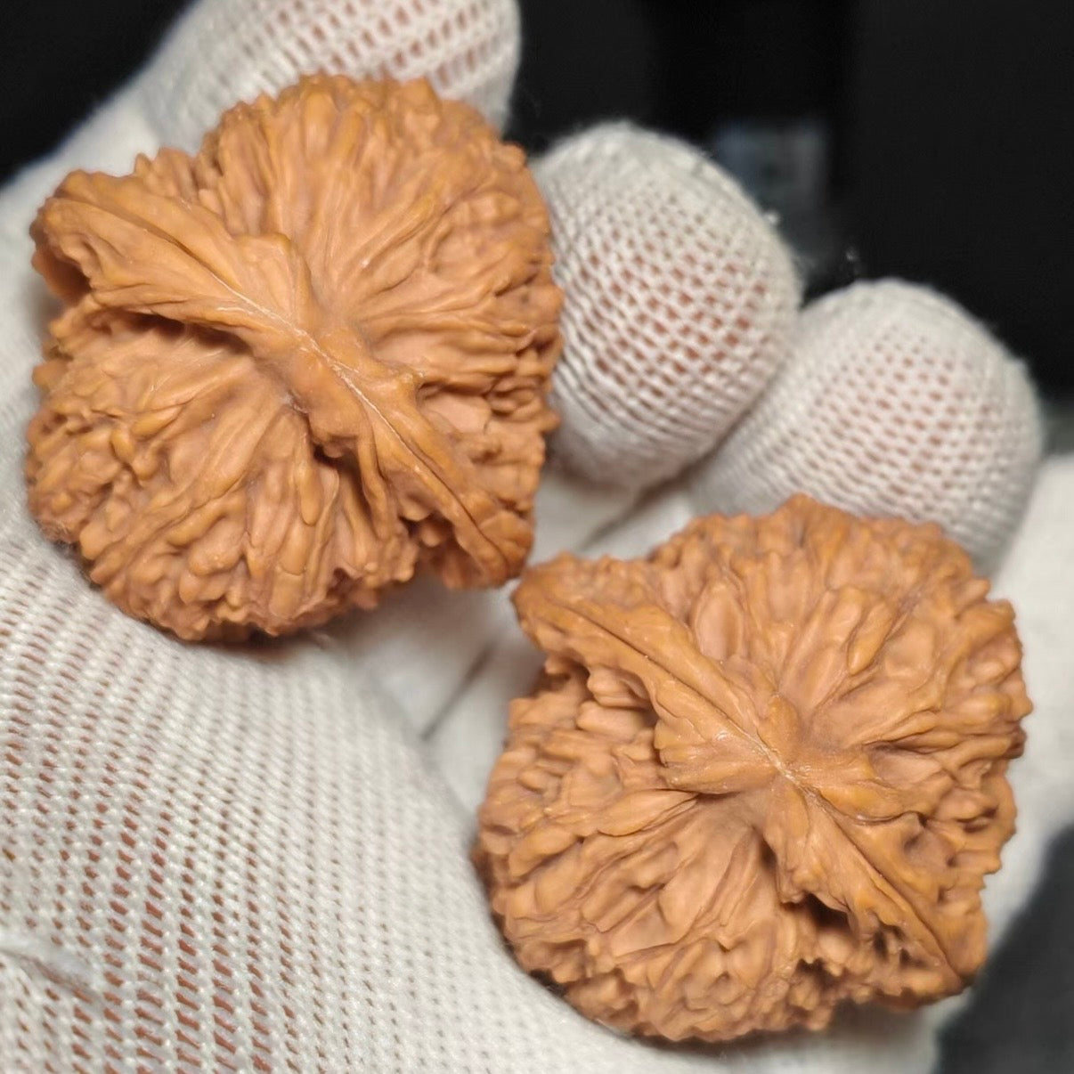 Nanjiang Stone Wenwan Walnut · 38mm · Natural · Premium Ritual