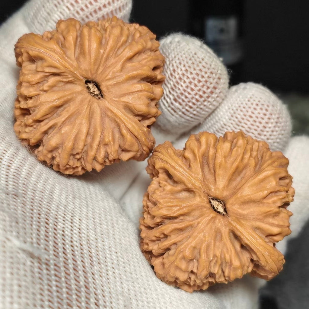 Nanjiang Stone Wenwan Walnut · 38mm · Natural · Premium Ritual