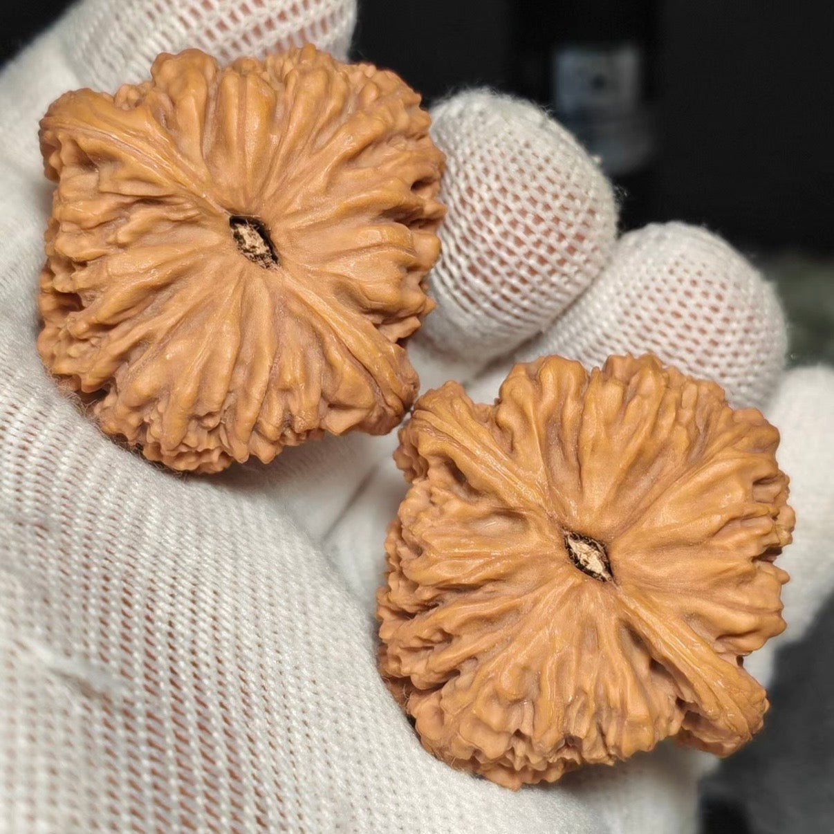 Nanjiang Stone Wenwan Walnut · 38mm · Natural · Premium Ritual