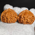 Wide Ear TuTu Wenwan Walnut · 42mm ·Natural · Premium Ritual