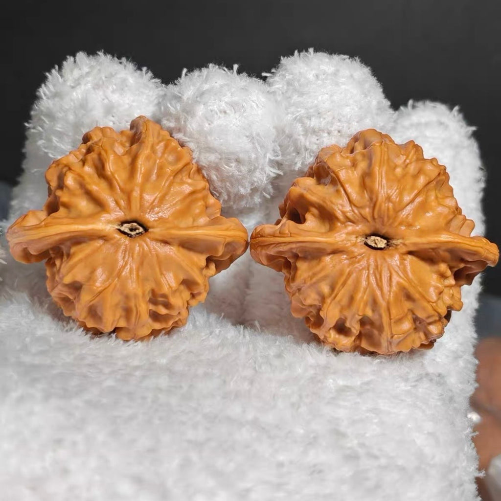 Wide Ear TuTu Wenwan Walnut · 42mm ·Natural · Premium Ritual
