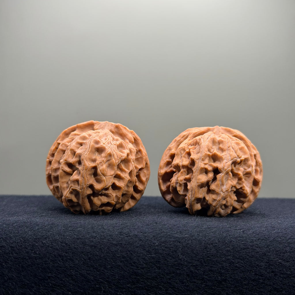 Apple Orchard Wenwan Walnut · 40mm · Natural · Entry Ritual