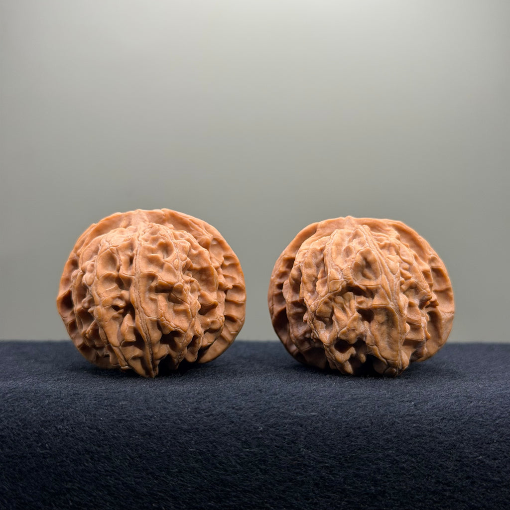 Apple Orchard Wenwan Walnut · 40mm · Natural · Entry Ritual