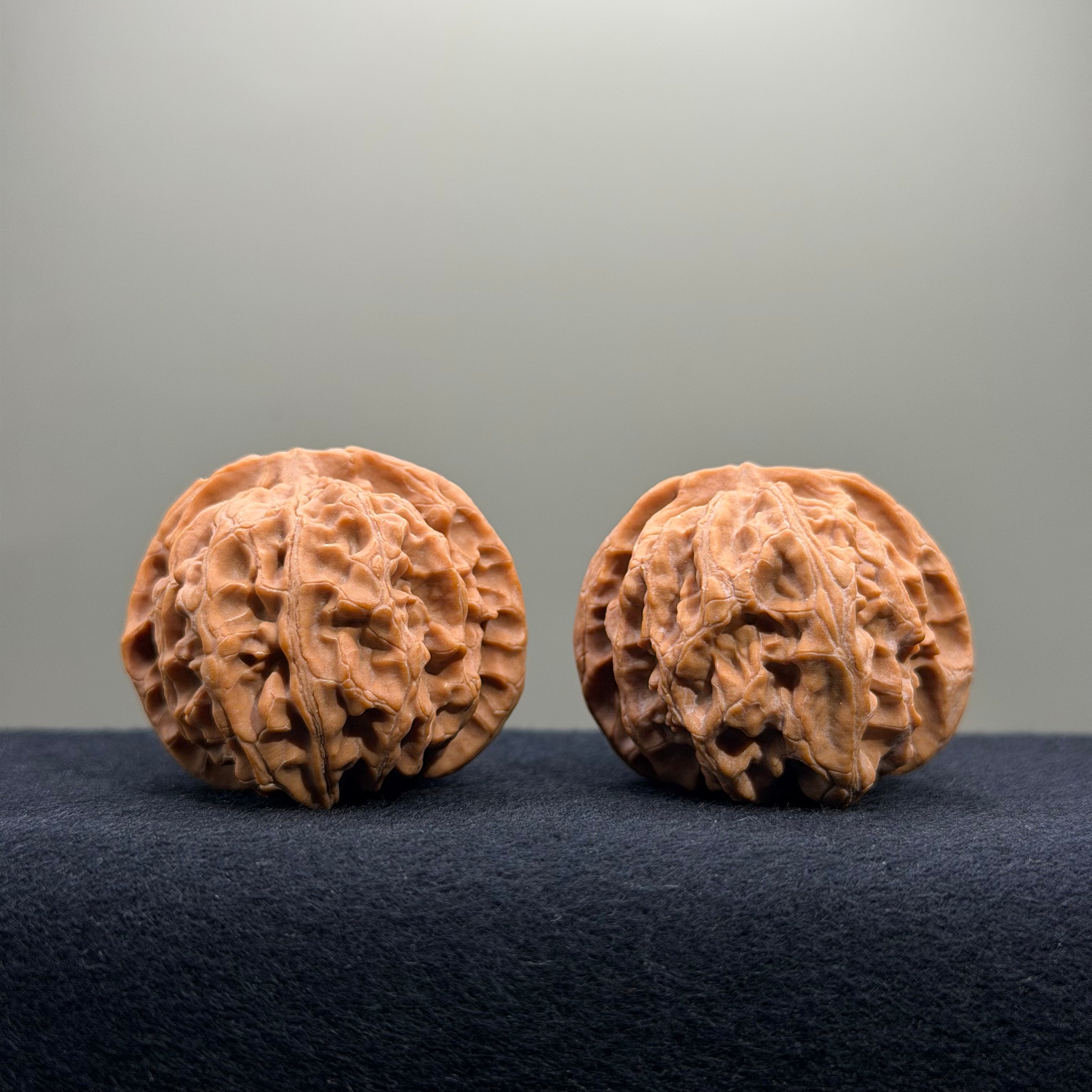 Apple Orchard Wenwan Walnut · 40mm · Natural · Entry Ritual