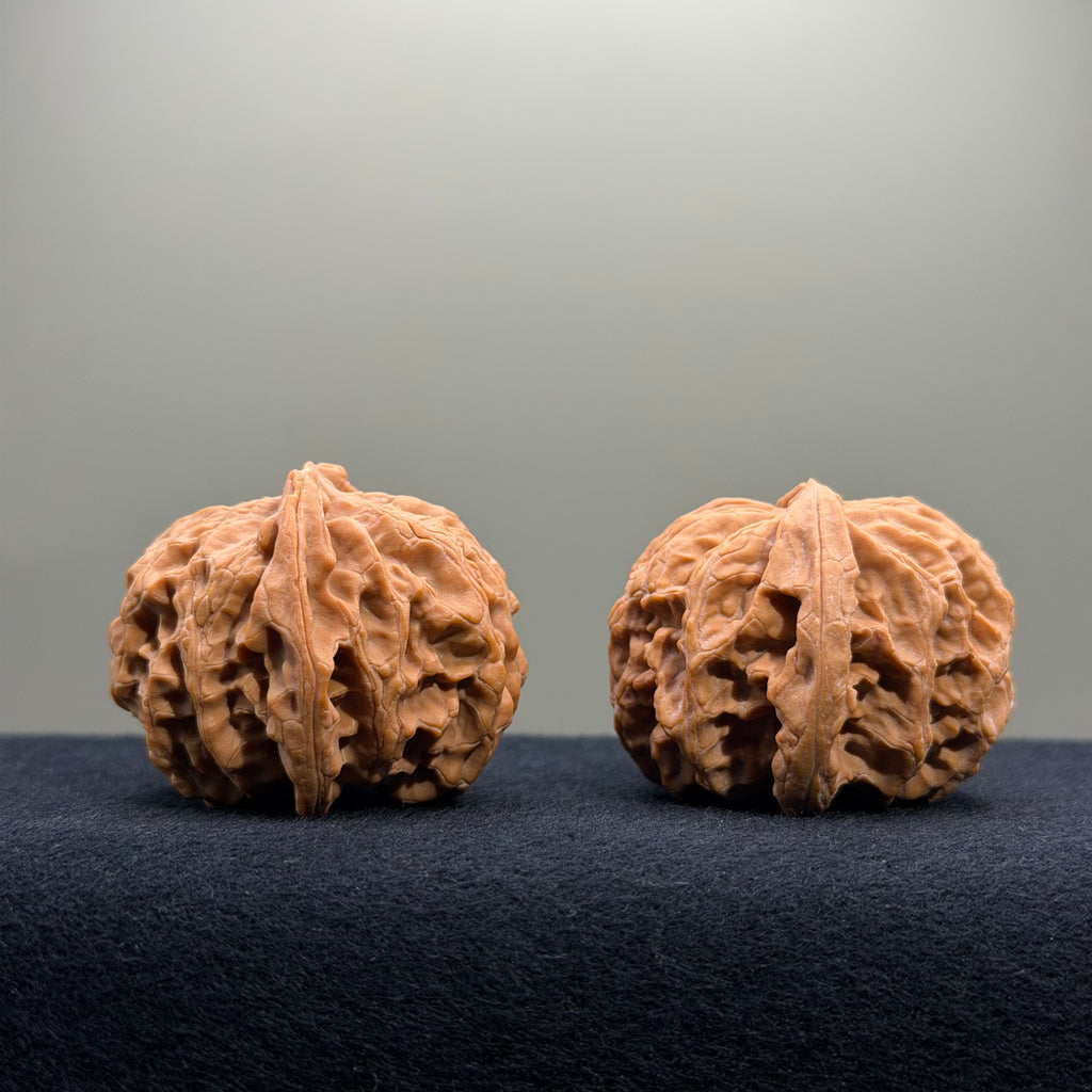 Apple Orchard Wenwan Walnut · 40mm · Natural · Entry Ritual