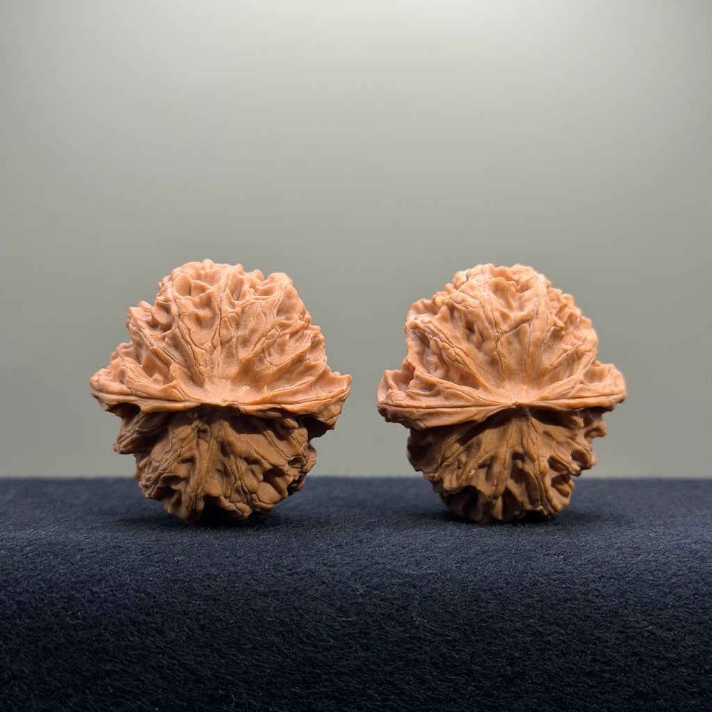 Apple Orchard Wenwan Walnut · 40mm · Natural · Entry Ritual