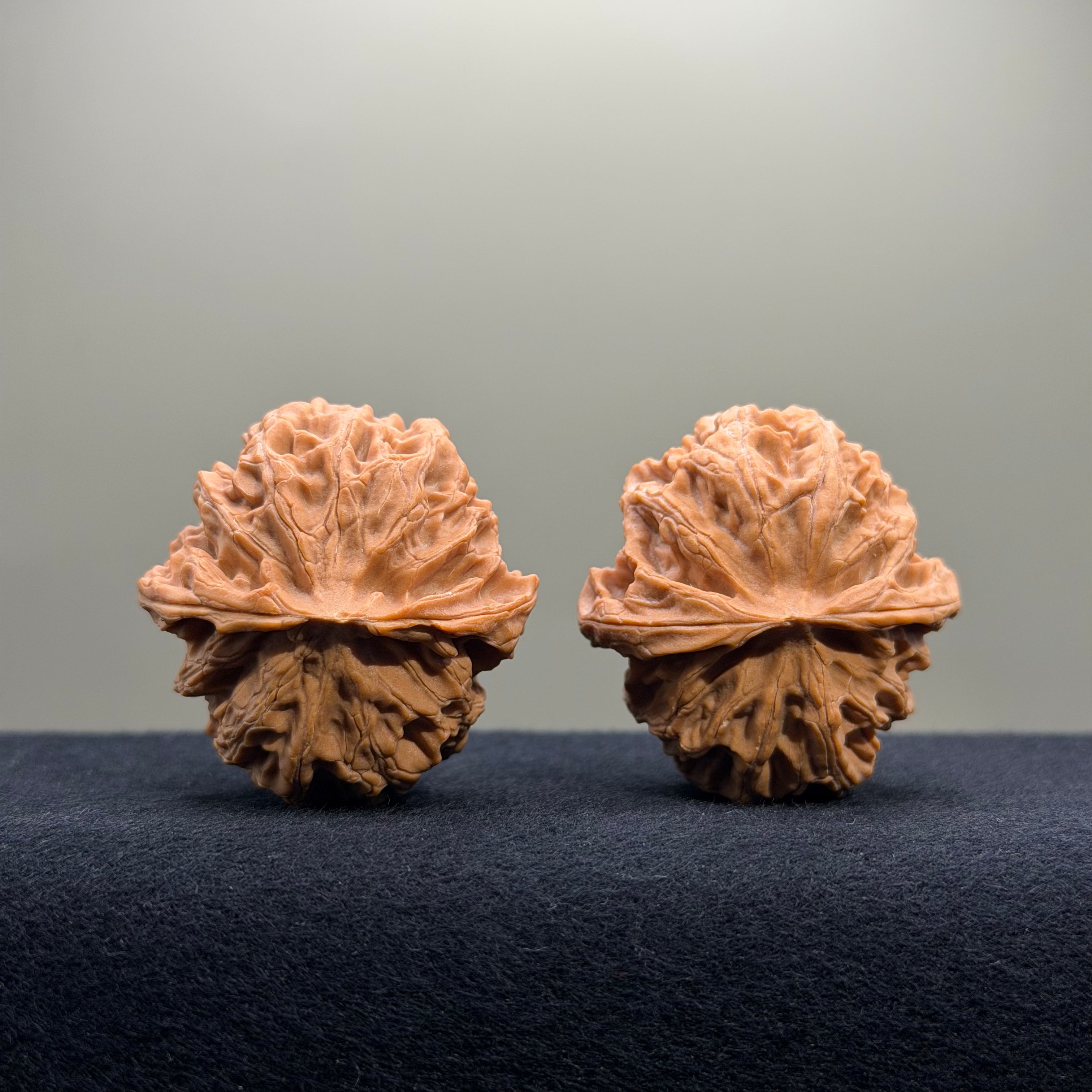 Apple Orchard Wenwan Walnut · 40mm · Natural · Entry Ritual