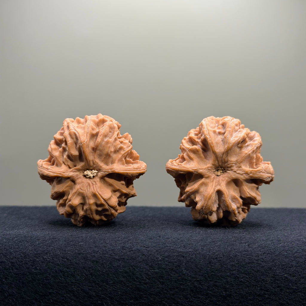 Apple Orchard Wenwan Walnut · 40mm · Natural · Entry Ritual