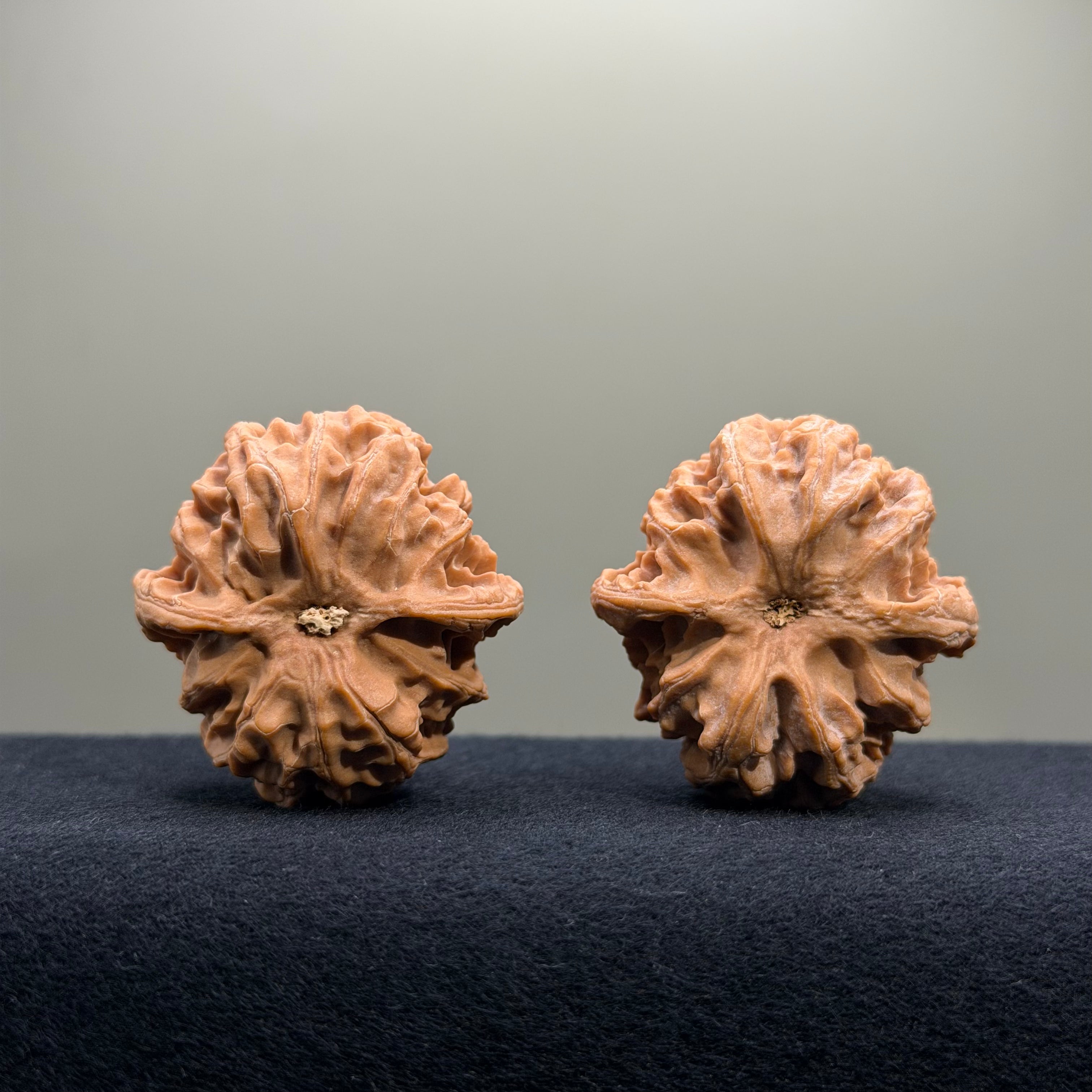 Apple Orchard Wenwan Walnut · 40mm · Natural · Entry Ritual