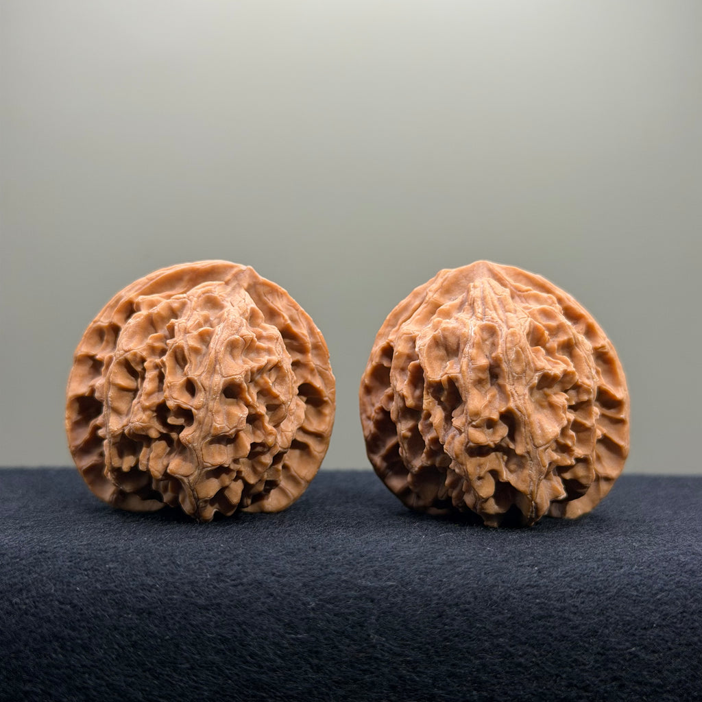 Apple Orchard Wenwan Walnut · 40mm · Natural · Entry Ritual