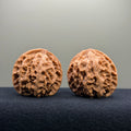 Apple Orchard Wenwan Walnut · 40mm · Natural · Entry Ritual